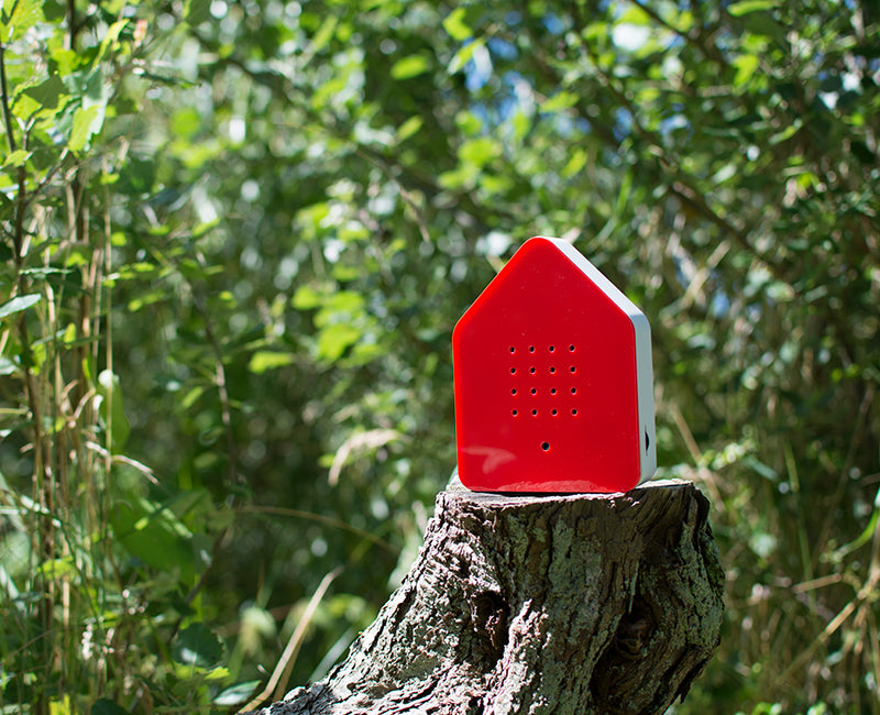 Zwitscher Box - Red/White