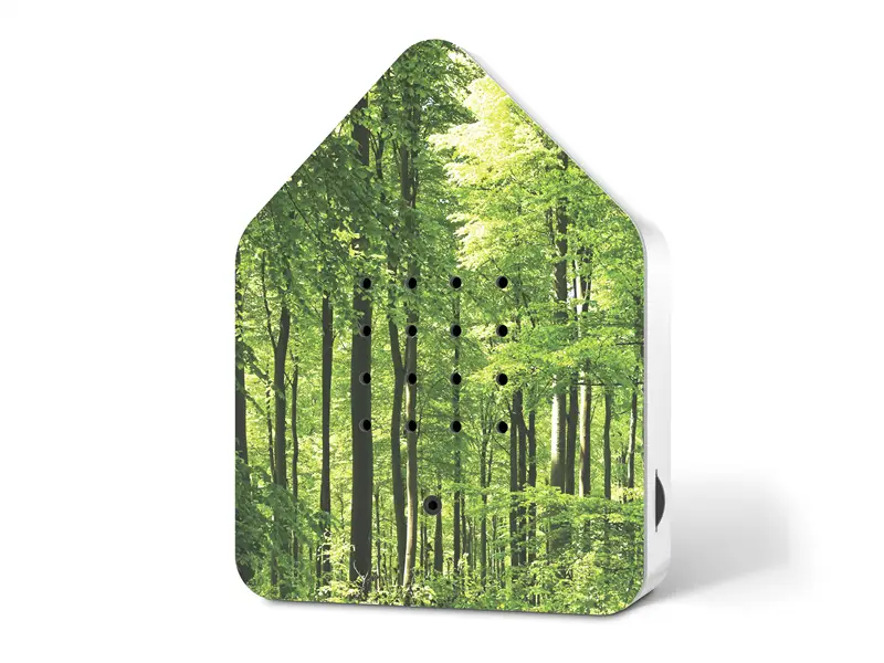 Zwitscher Box - Forest