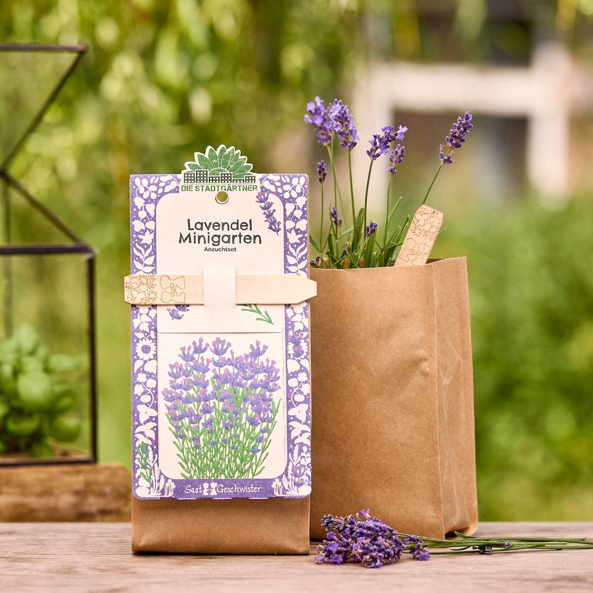 Mini have - lavendel