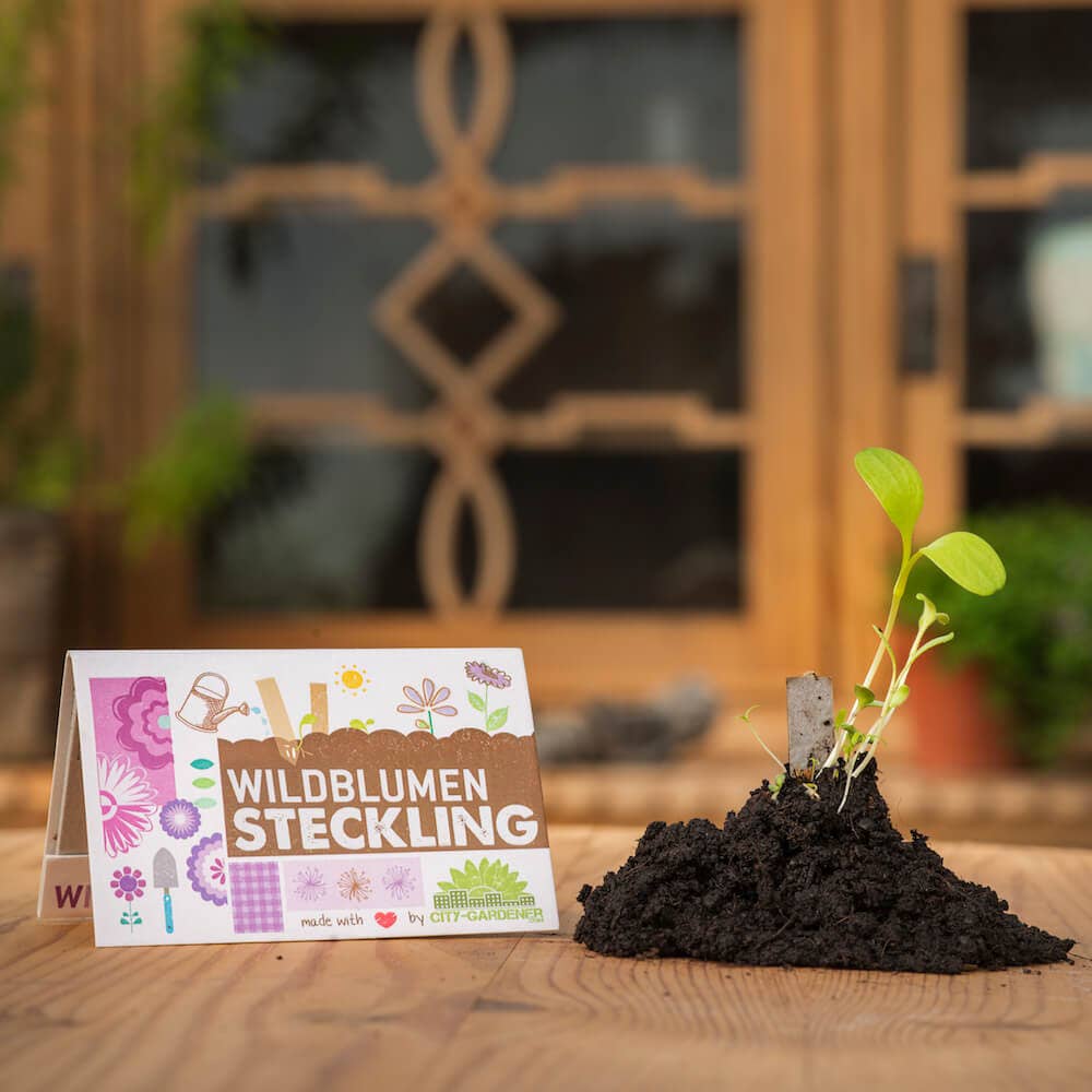 Stiklinger - vilde blomster