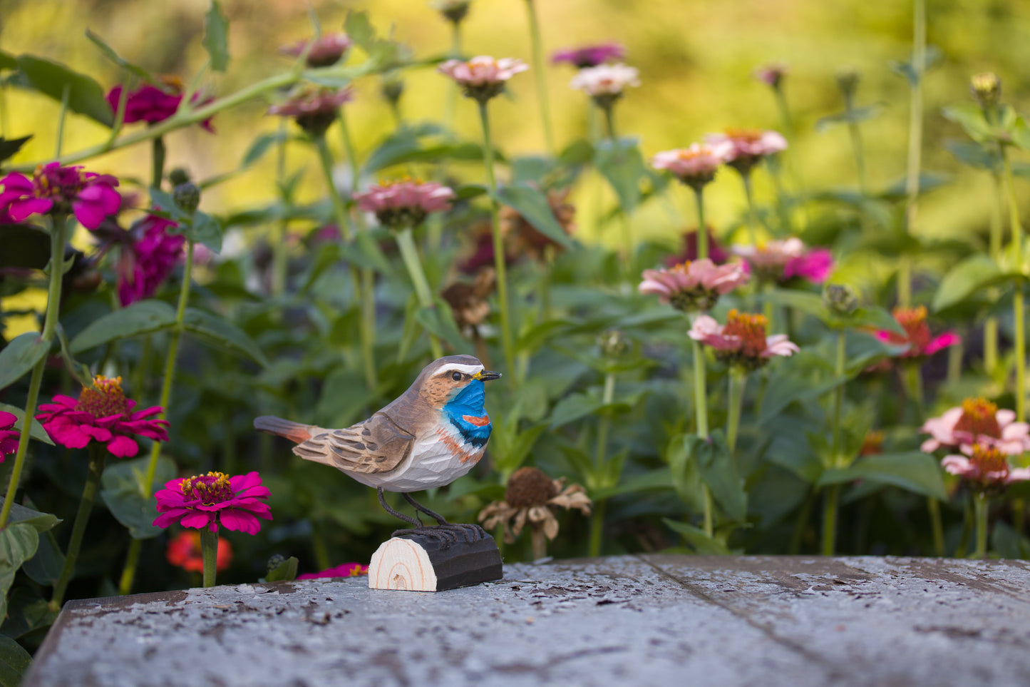 Blåhals (Bluethroat) -  udskåret i træ