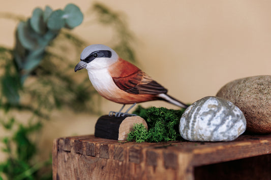 Tornskade (Red-backed Shrike) - udskåret i træ